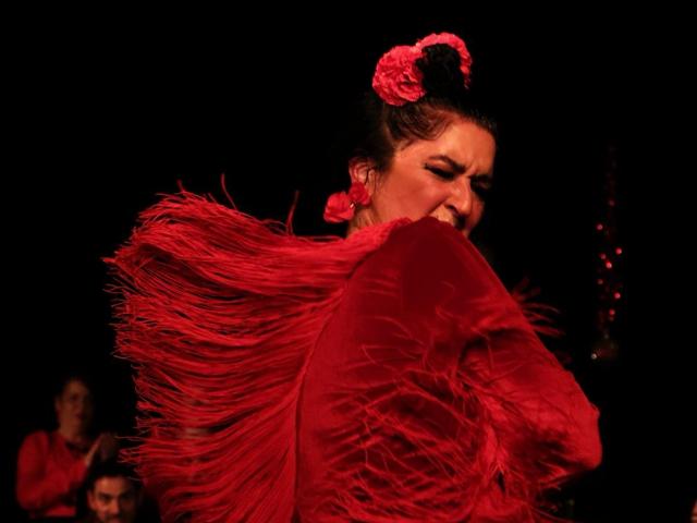 Roma-Tag-Festival 2026: Noelia Vargas Flamenco Company - “Sastipen”