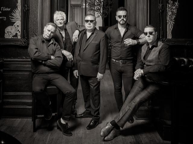 The Godfathers - The Godfathers